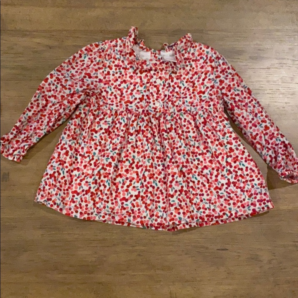 Gymboree berry smock shirt